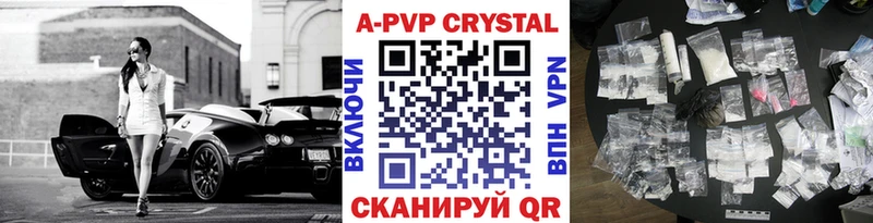 A PVP СК КРИС  Новосибирск 
