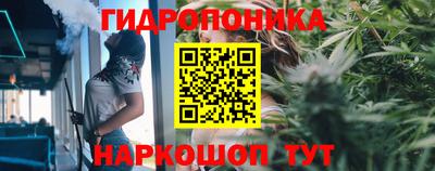Альфа ПВП Заволжье