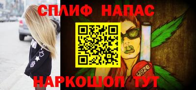 гашик Жуковский