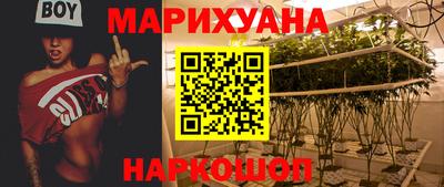 гашик Жуковский