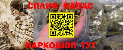гашик Жуковский