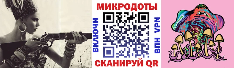 блэк спрут   Новосибирск  Галлюциногенные грибы GOLDEN TEACHER 