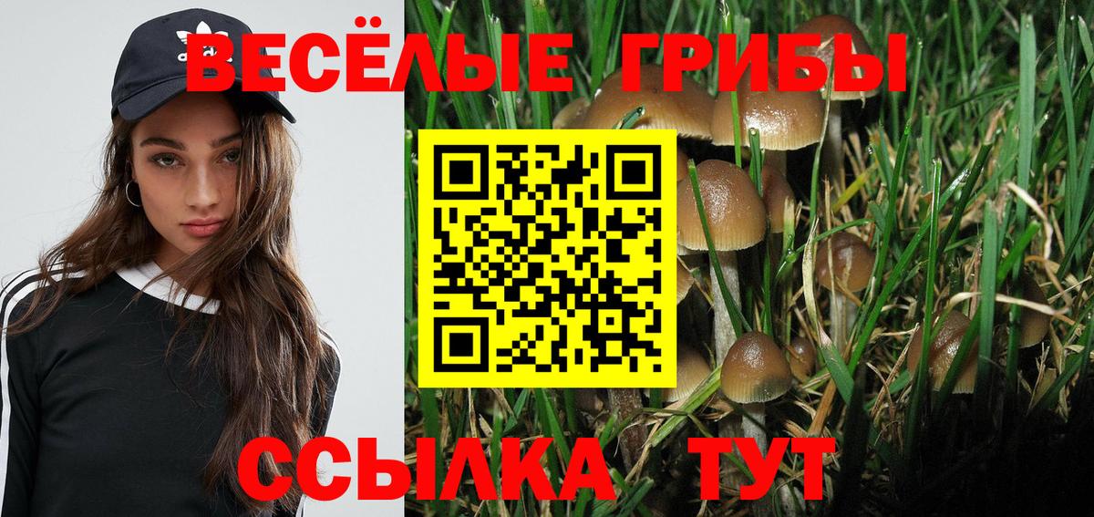 Новосибирск  Псилоцибиновые грибы Cubensis  Вход с VPN  Галлюциногенные грибы Psilocybine cubensis 