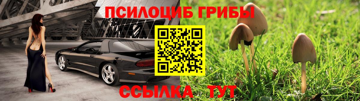 Галлюциногенные грибы Cubensis Новосибирск
